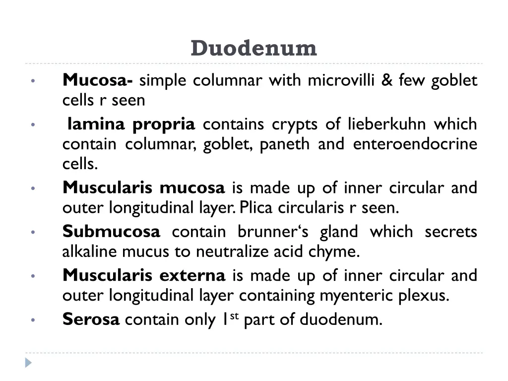 duodenum