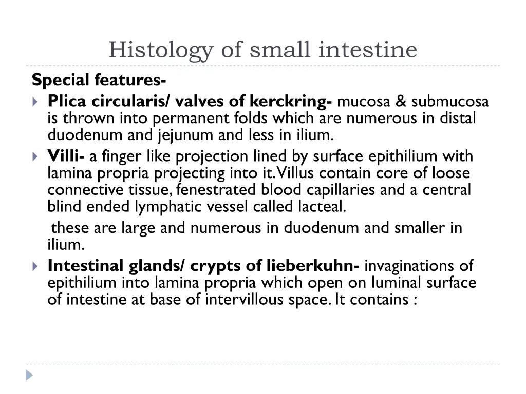 histology of small intestine special features