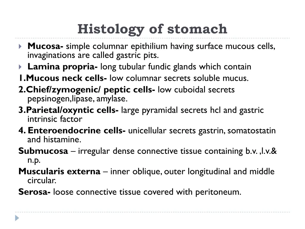 histology of stomach