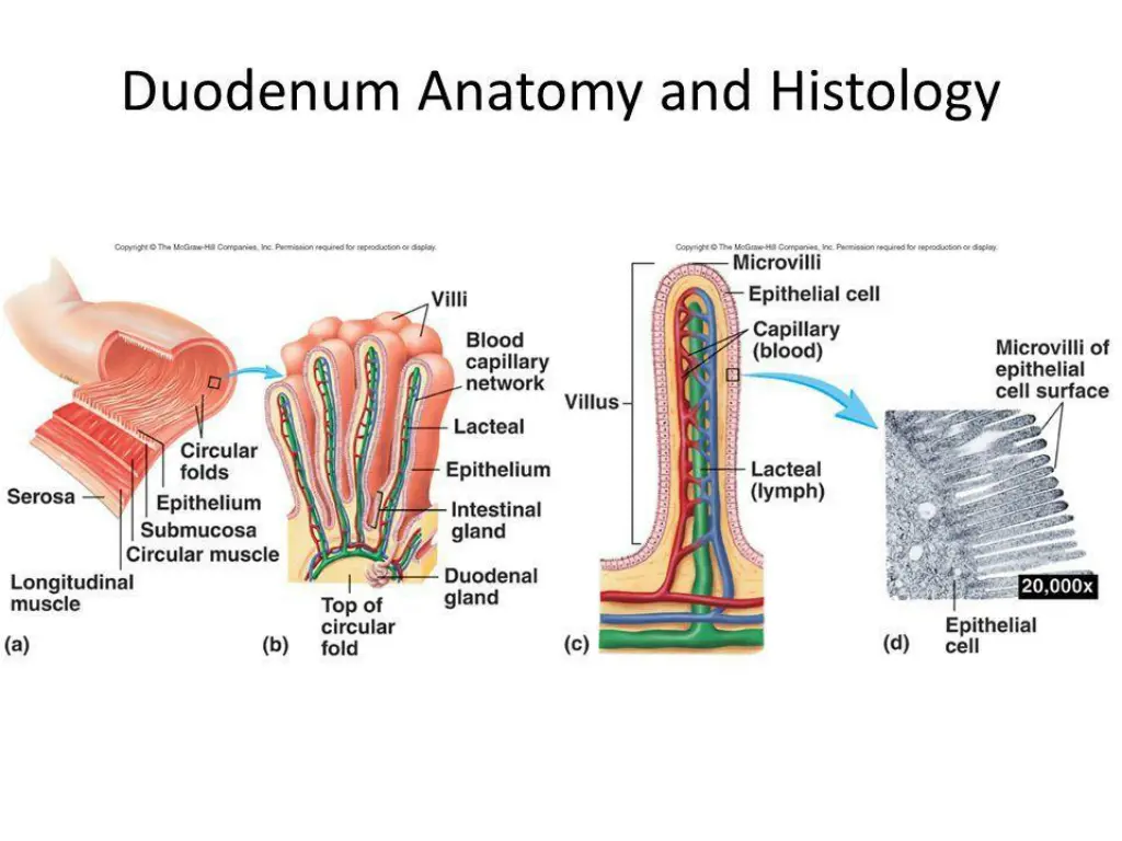 slide12