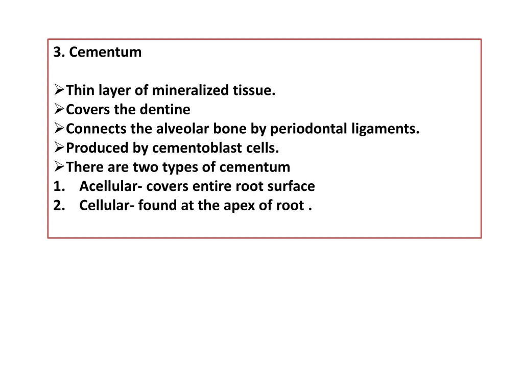 3 cementum