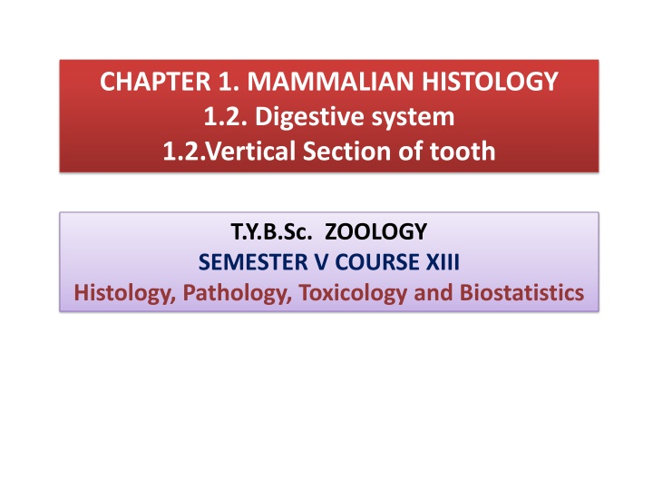 chapter 1 mammalian histology 1 2 digestive