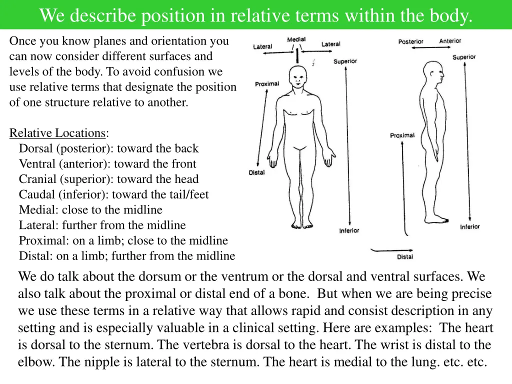 we describe position in relative terms within