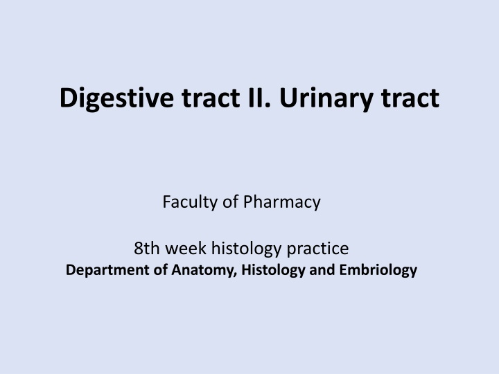 digestive tract ii urinary tract