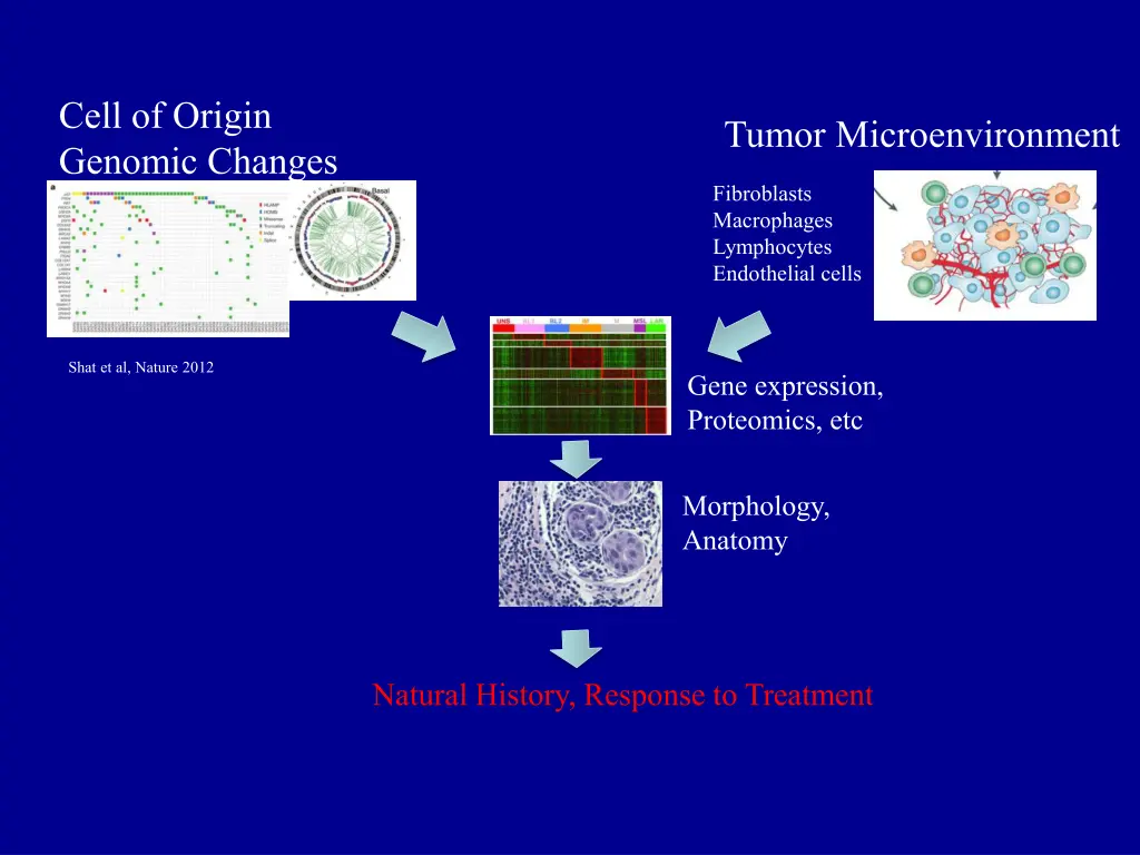 cell of origin genomic changes 1