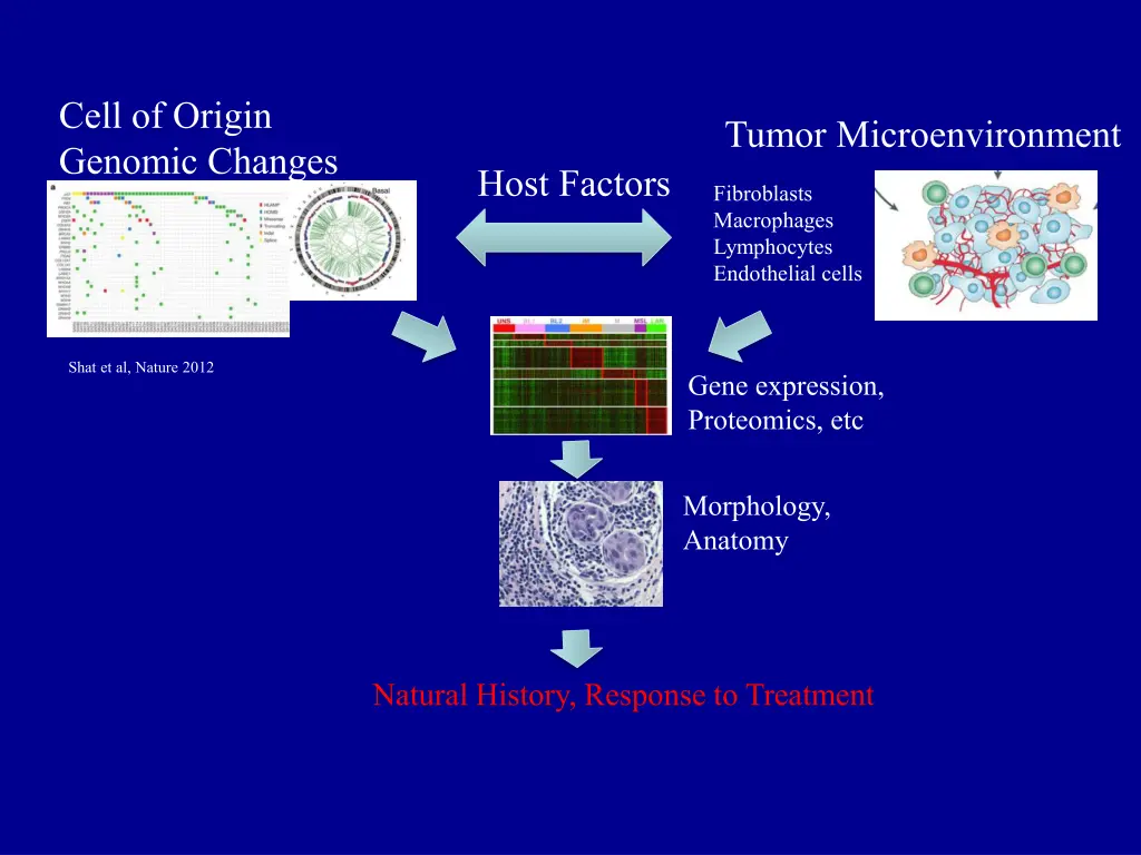 cell of origin genomic changes 2