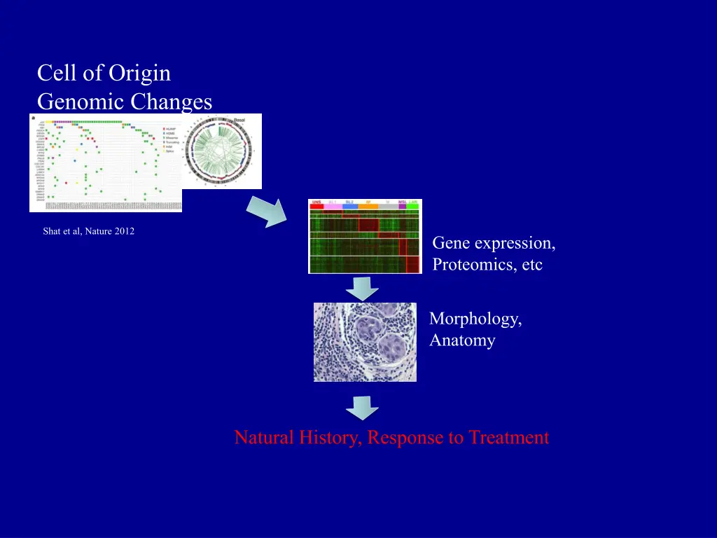 cell of origin genomic changes