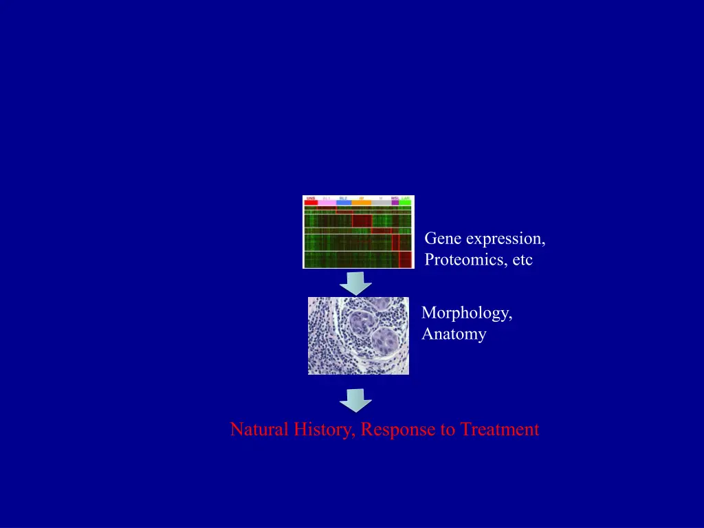 gene expression proteomics etc