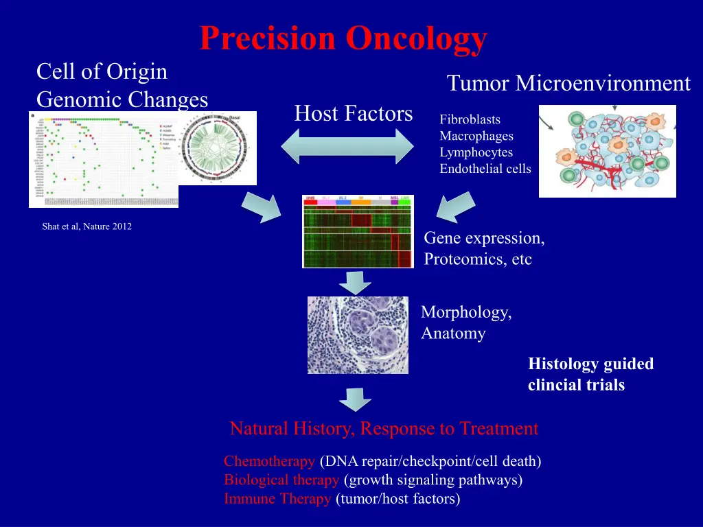 precision oncology 1