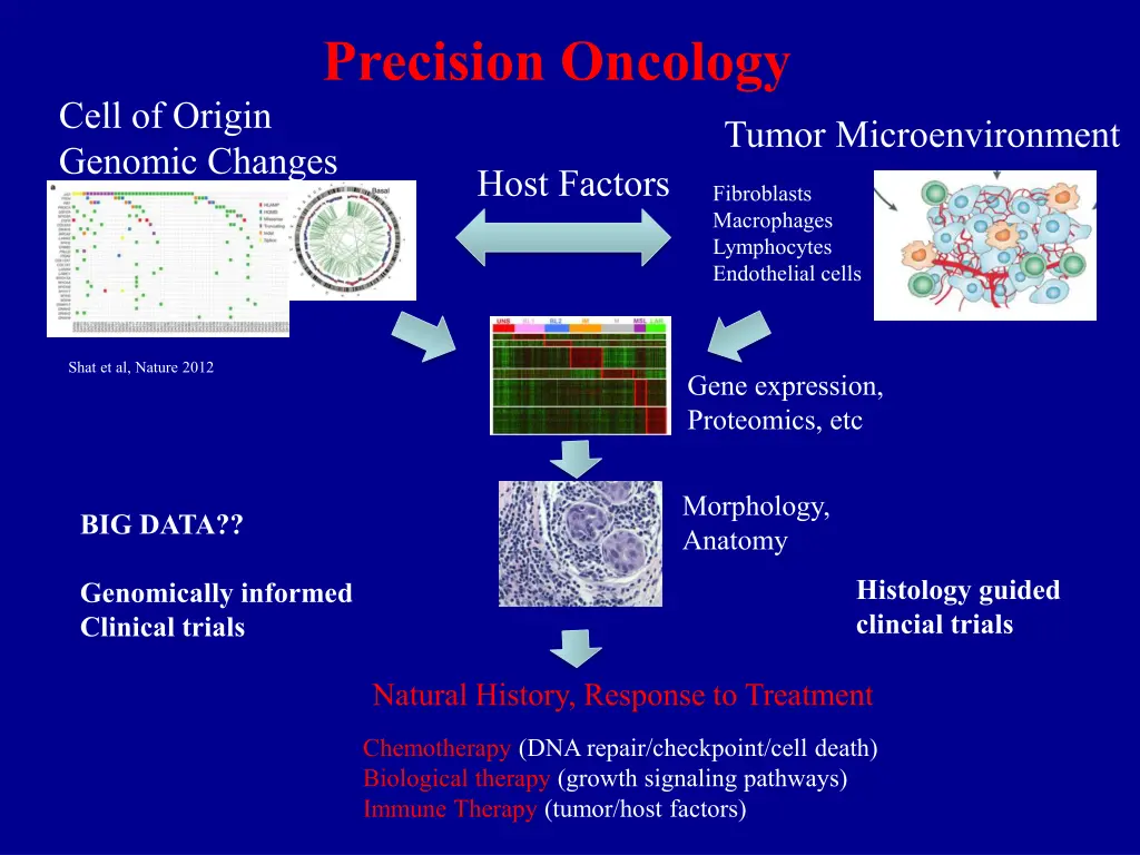 precision oncology 2