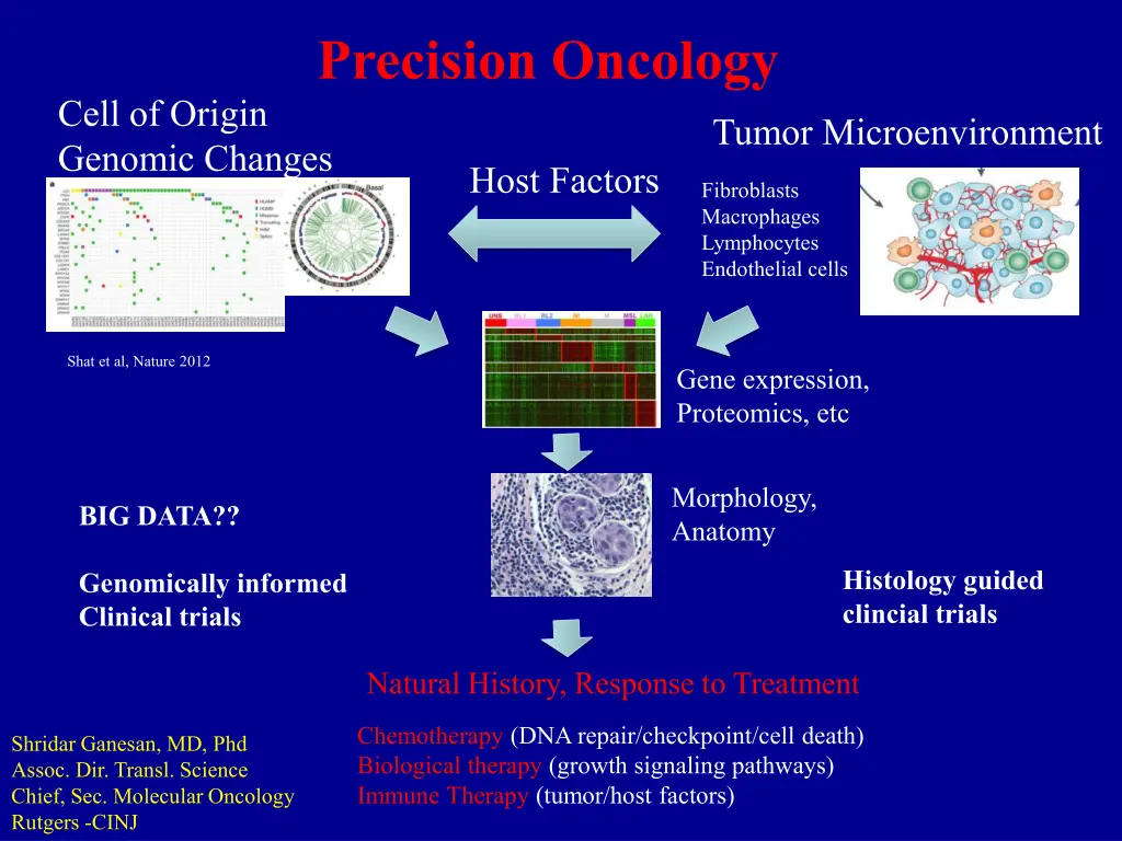 precision oncology 3