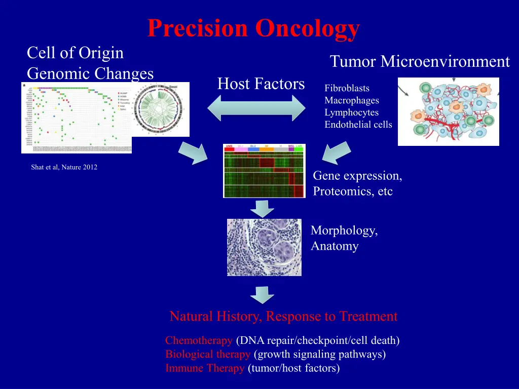 precision oncology