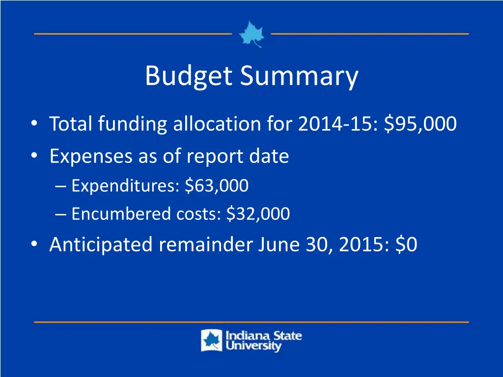 budget summary