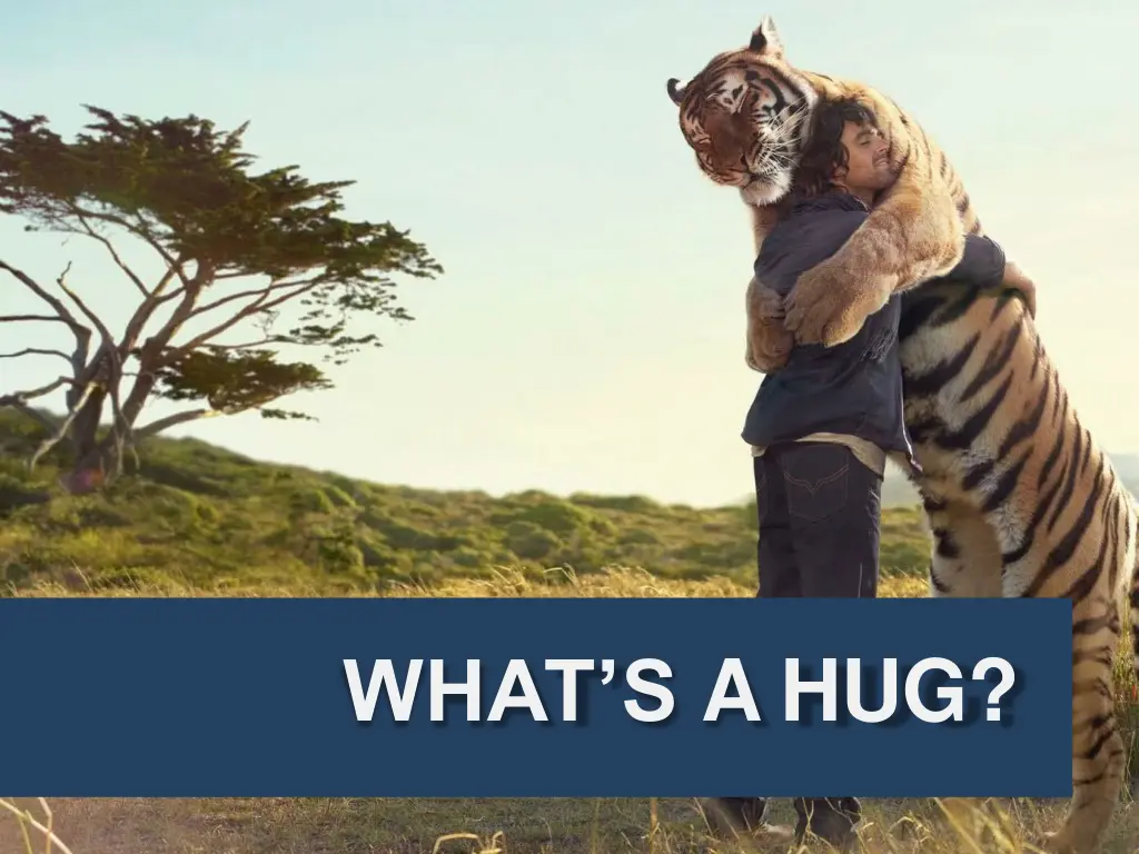 what s a hug