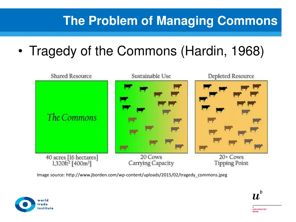 the problem of managing commons 1