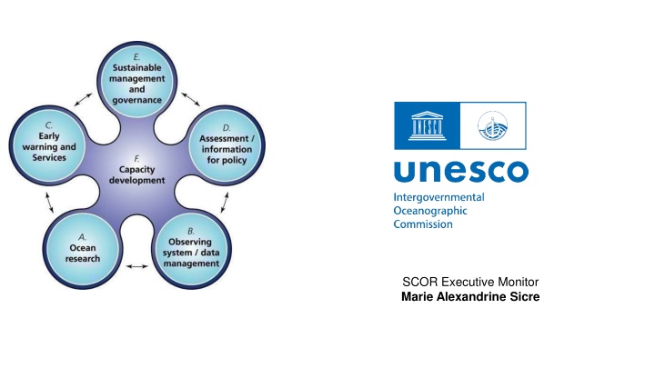 scor executive monitor marie alexandrine sicre