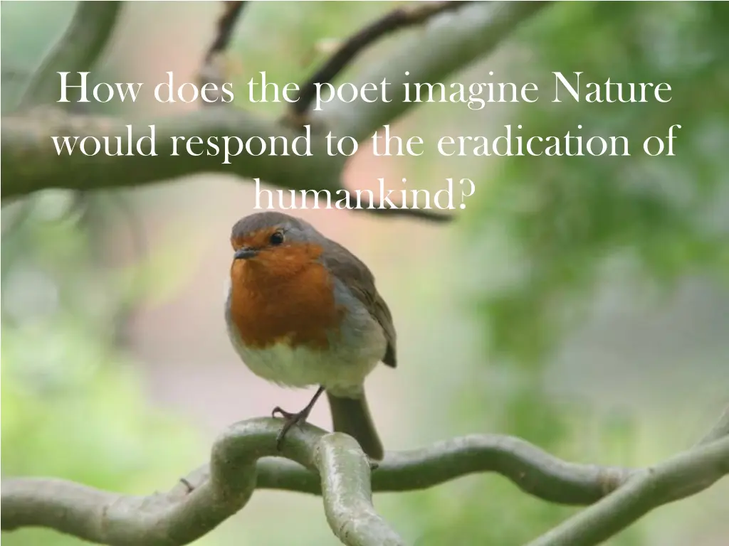 how does the poet imagine nature would respond