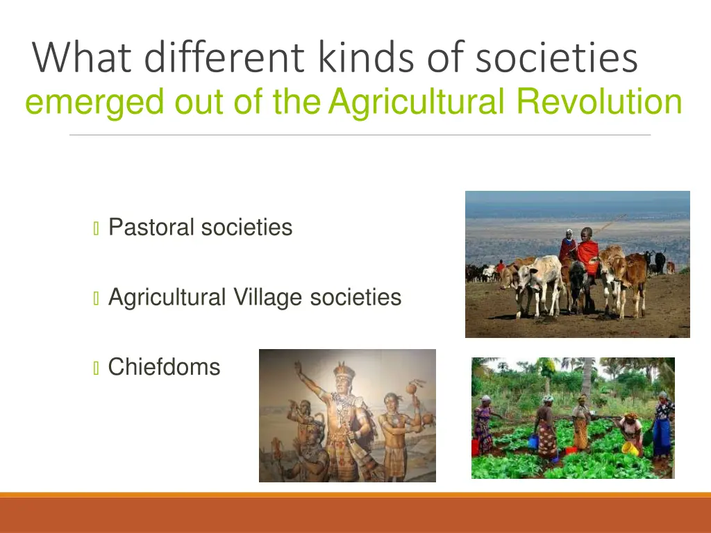 what different kinds of societies emerged