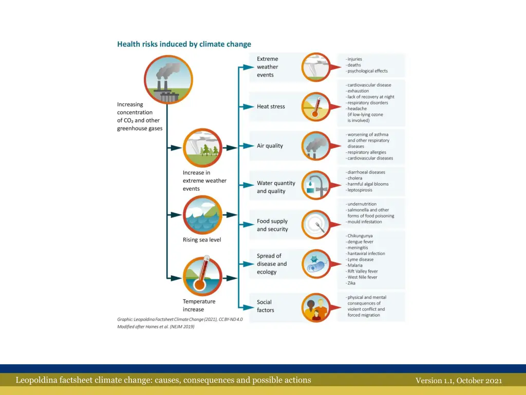 leopoldina factsheet climate change causes 13