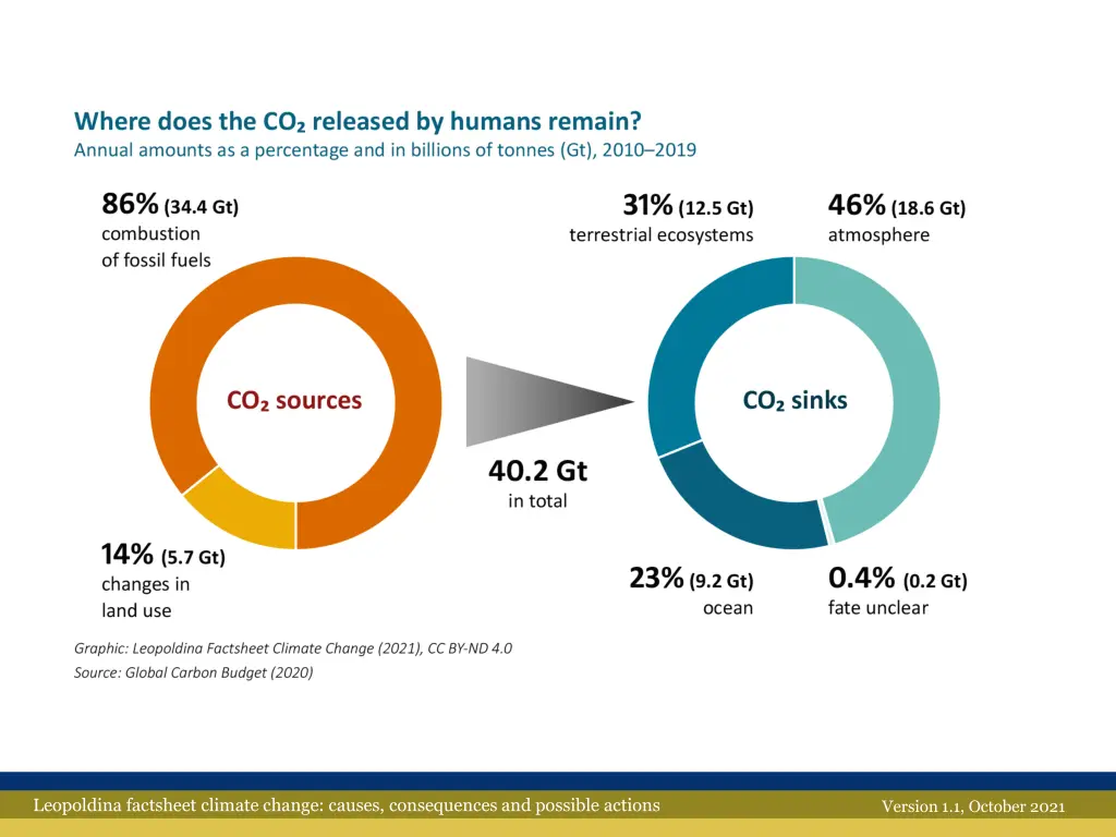 leopoldina factsheet climate change causes 6