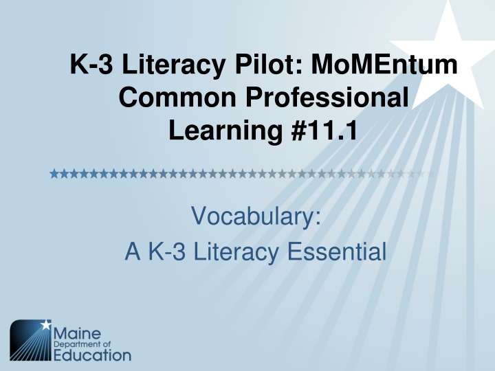 k 3 literacy pilot momentum common professional