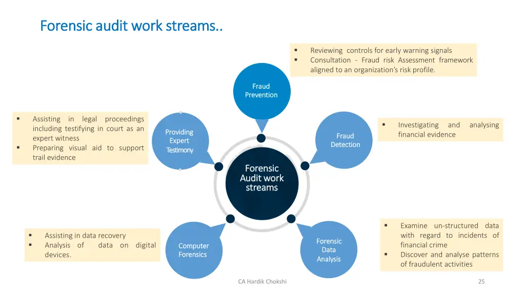 forensic audit work streams forensic audit work