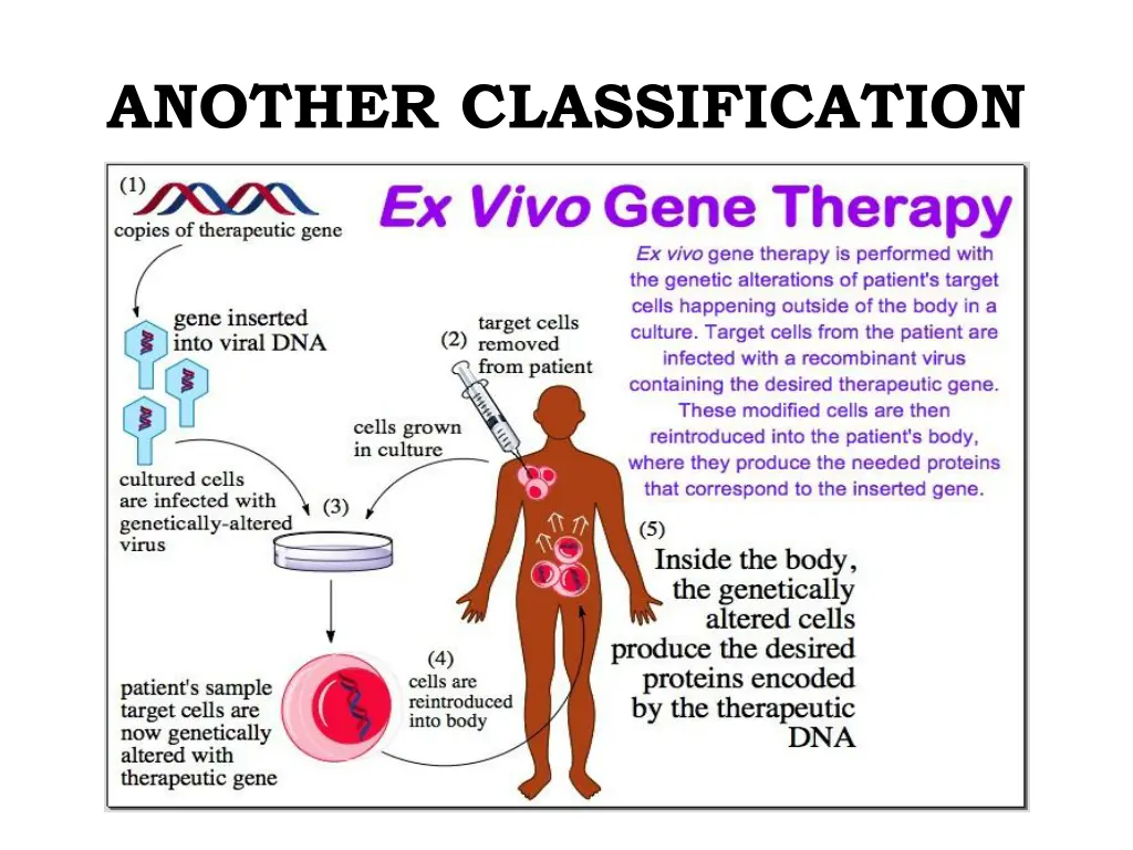 another classification