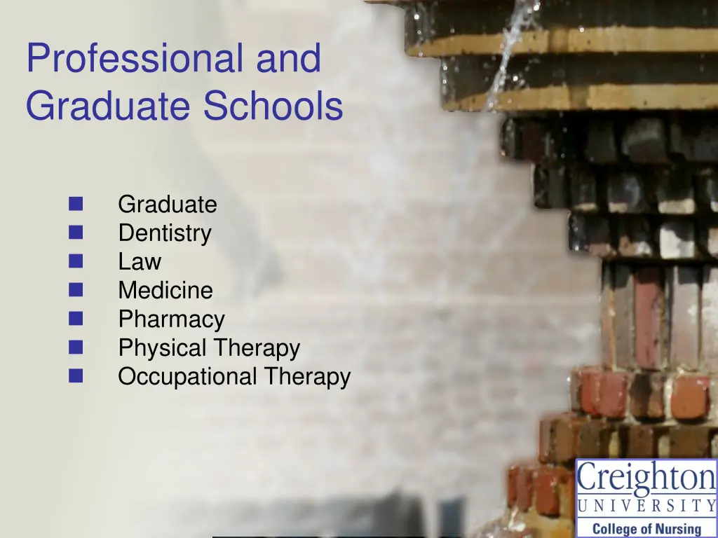 professional and graduate schools