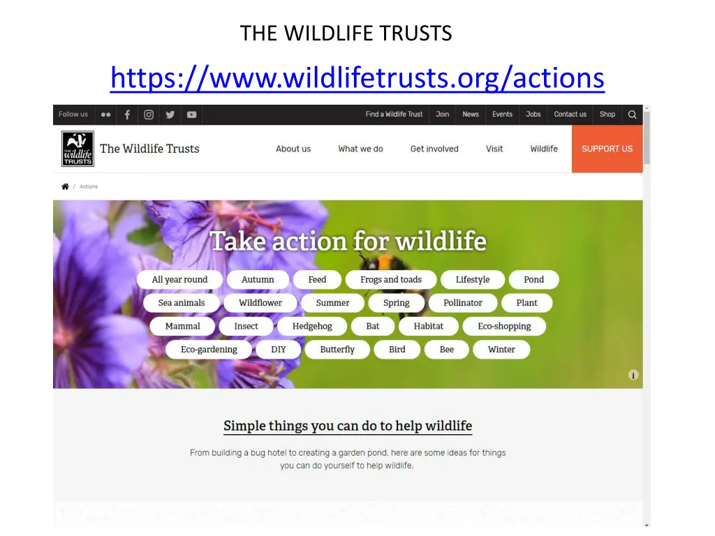 the wildlife trusts