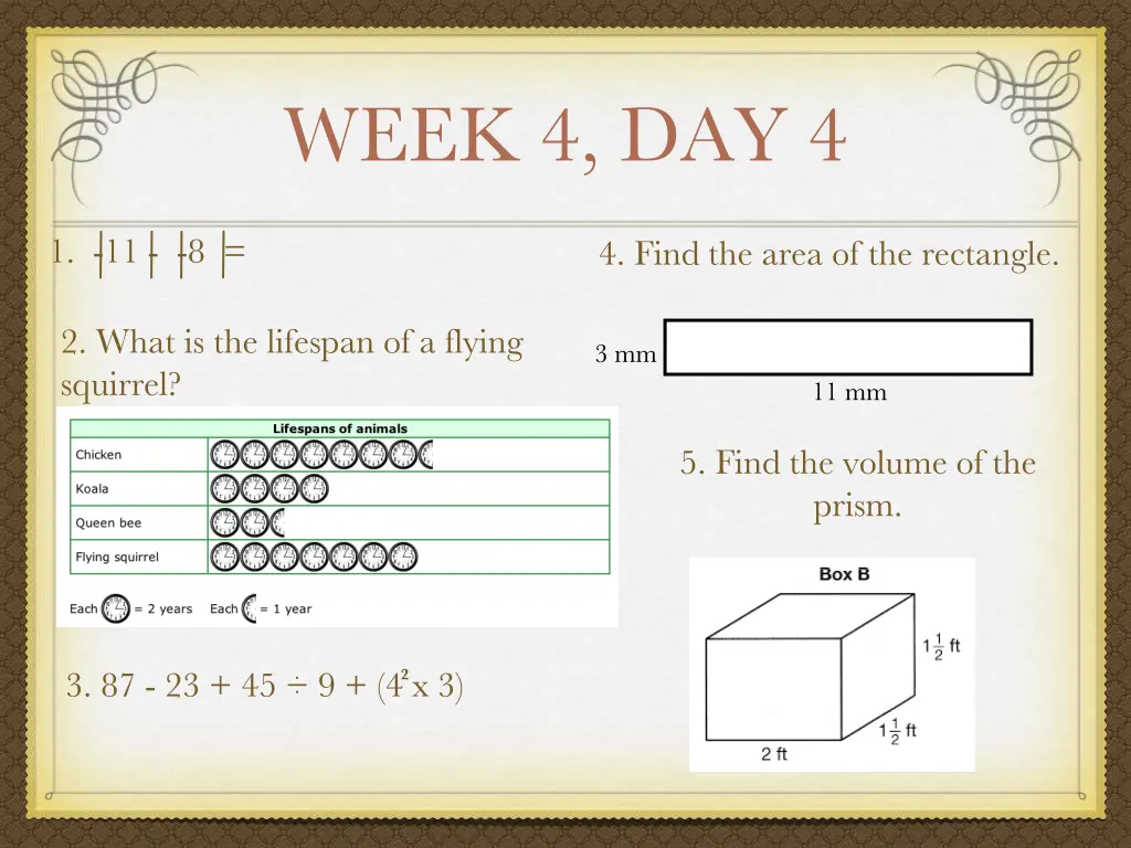 week 4 day 4