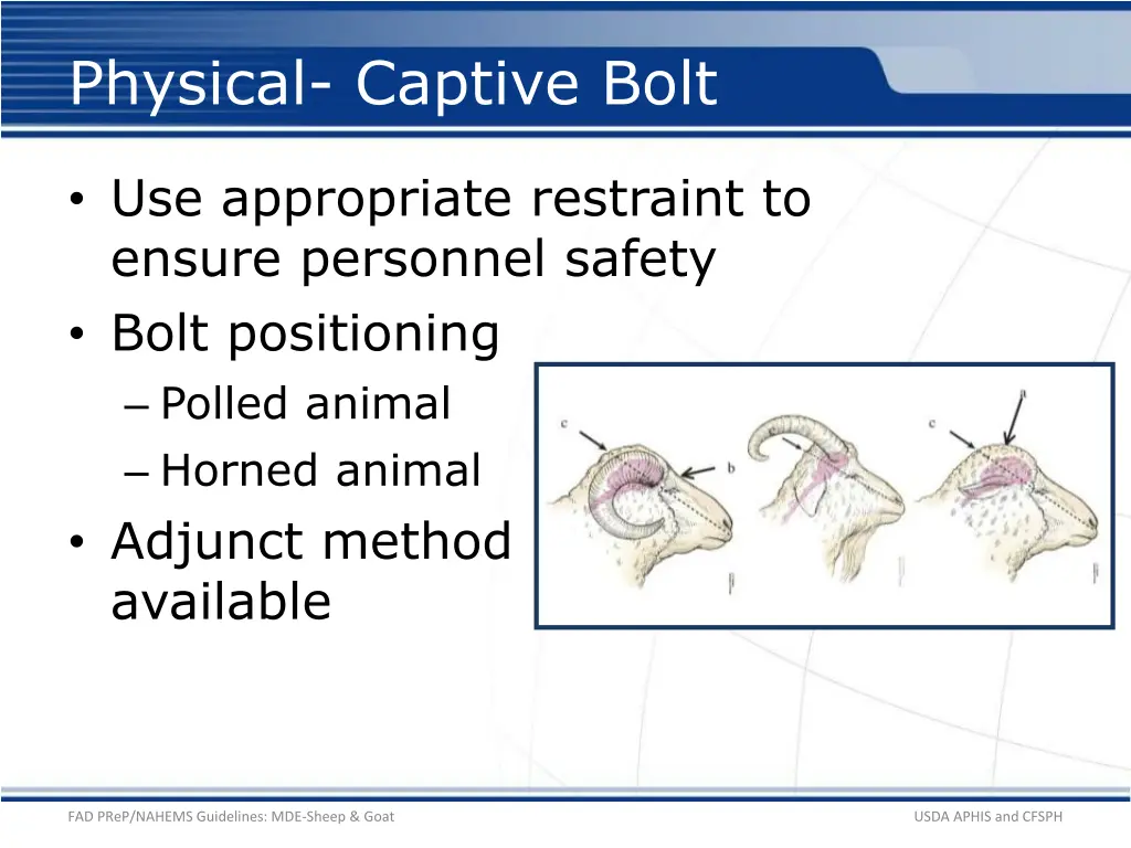 physical captive bolt