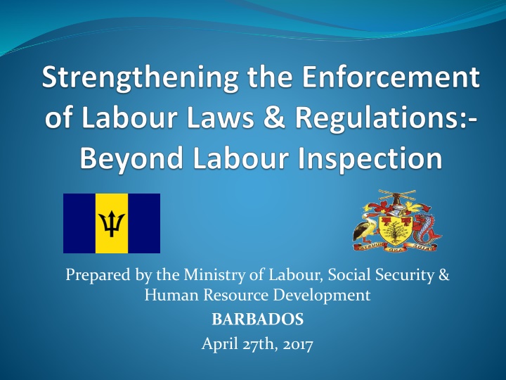 prepared by the ministry of labour social