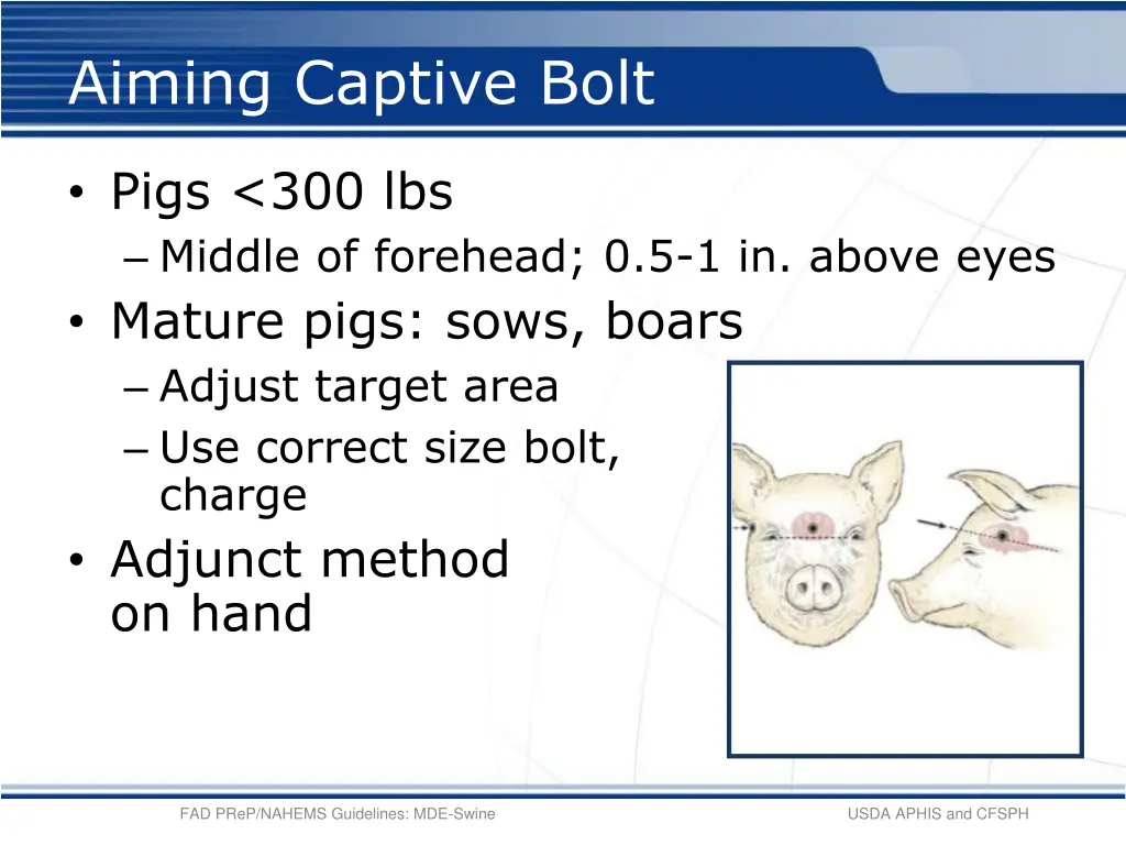 aiming captive bolt