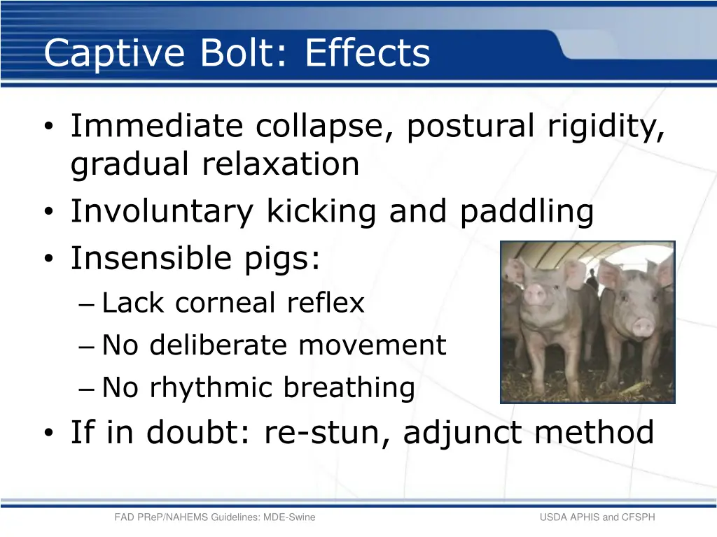 captive bolt effects