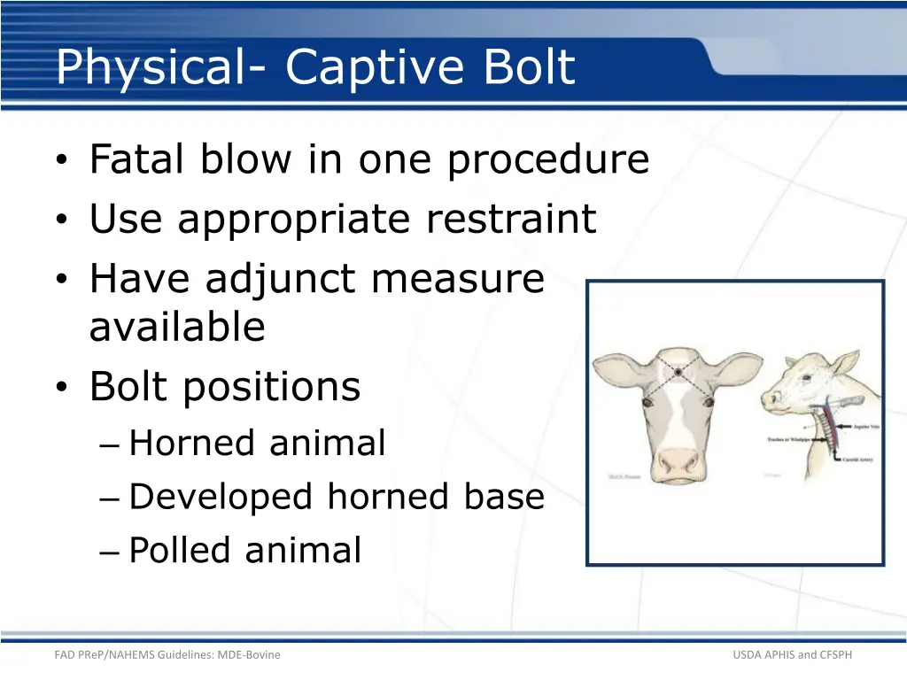 physical captive bolt