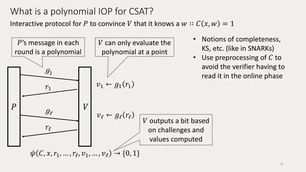 what is a polynomial iop for csat interactive