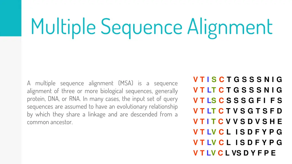 multiple sequence alignment