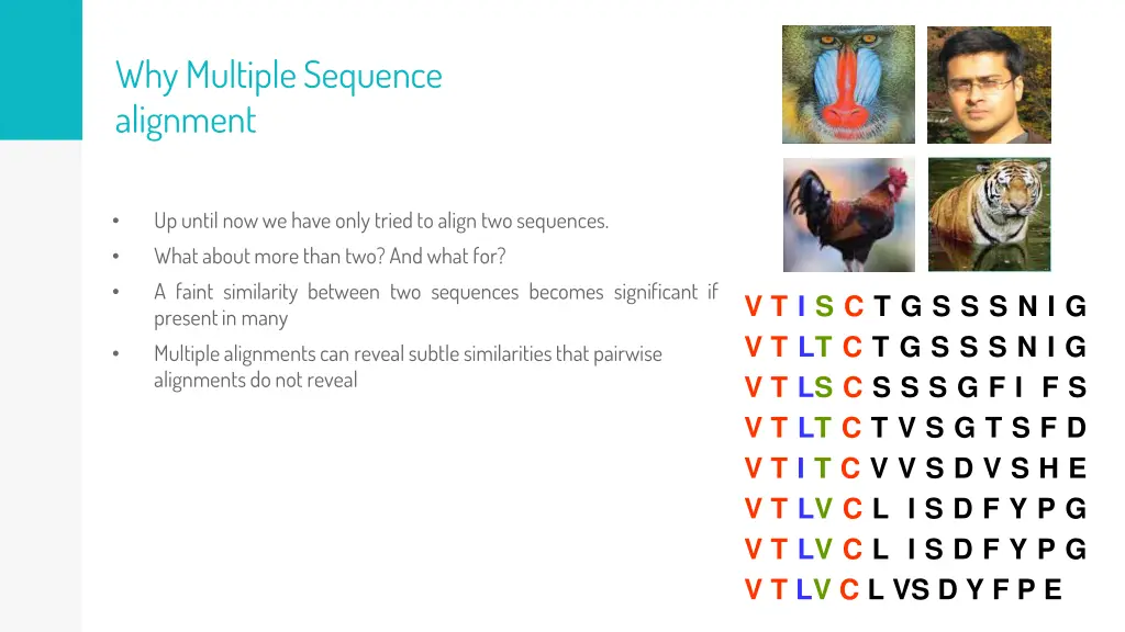 why multiple sequence alignment