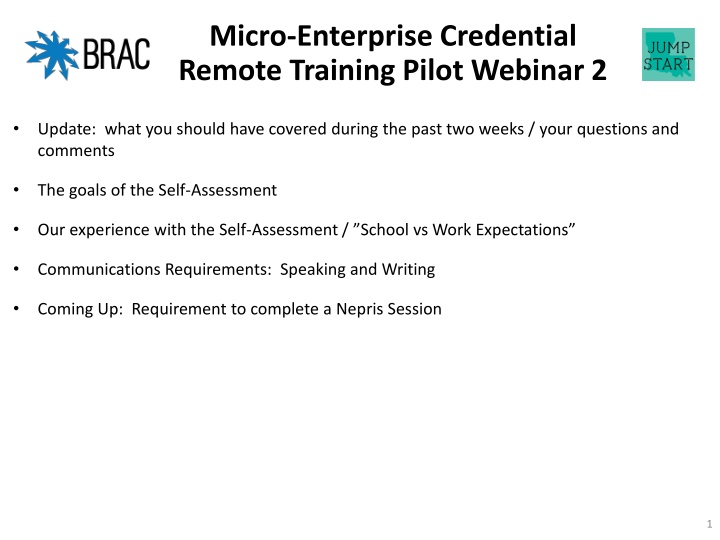 micro enterprise credential remote training pilot