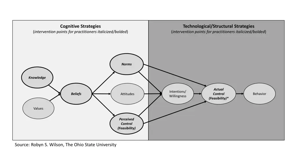 cognitive strategies