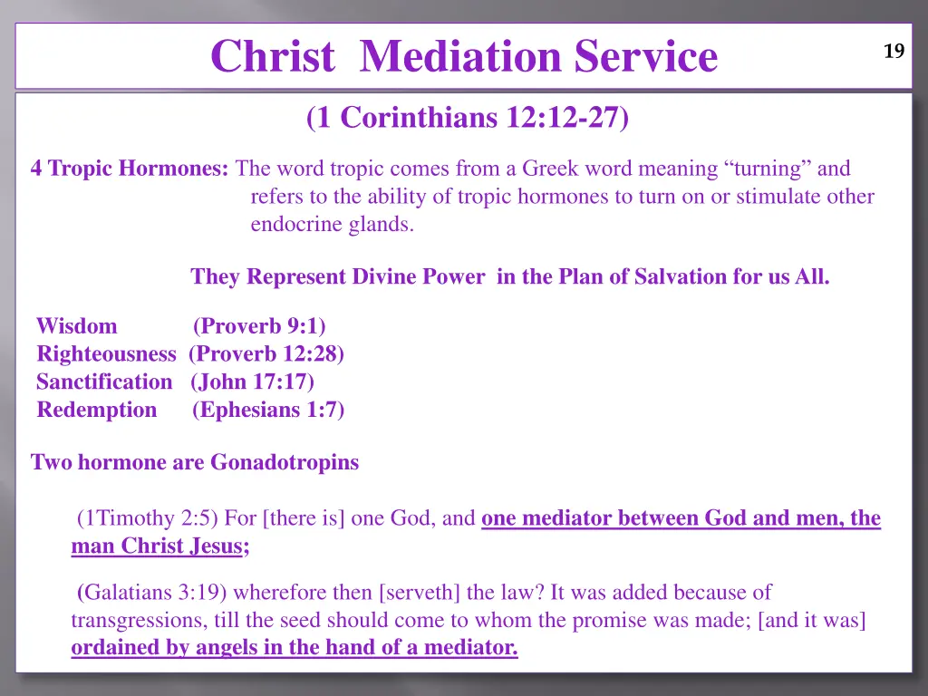 christ mediation service