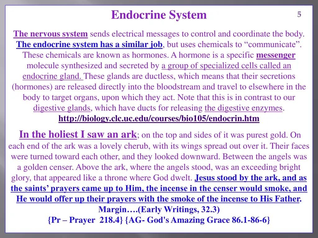 endocrine system