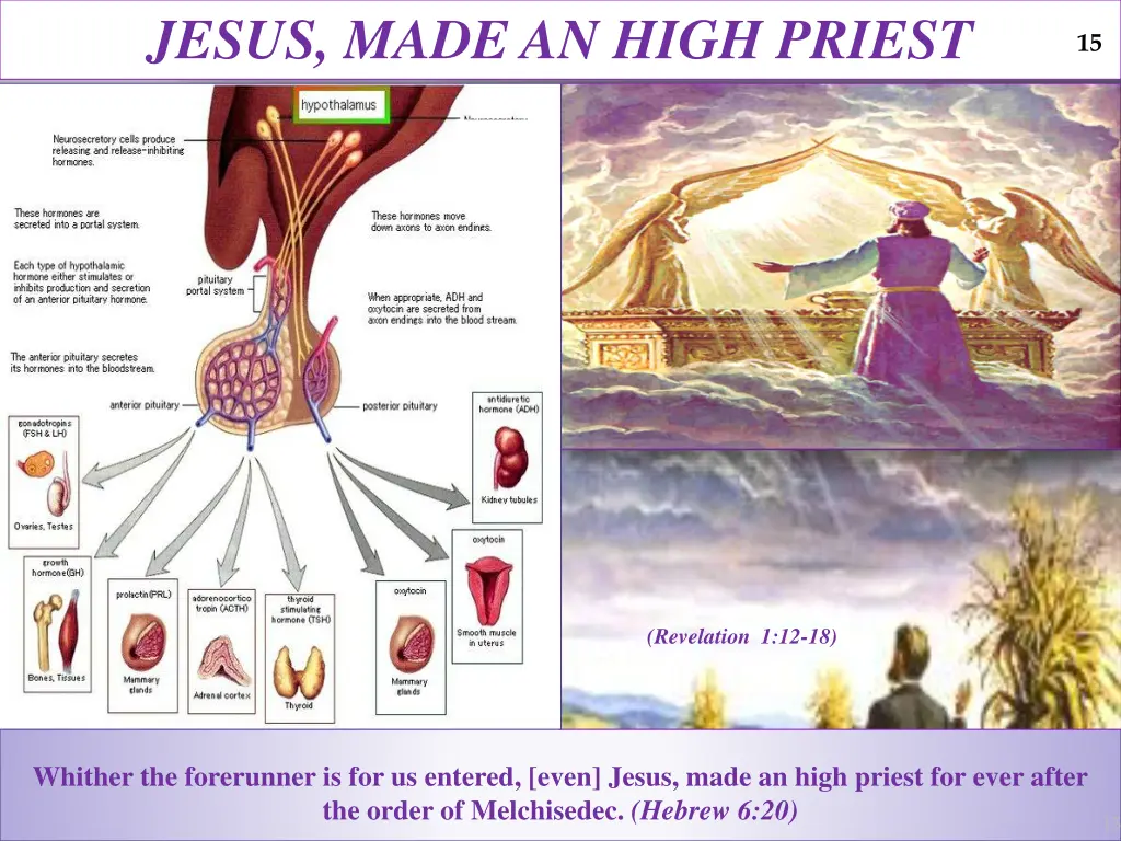 jesus made an high priest