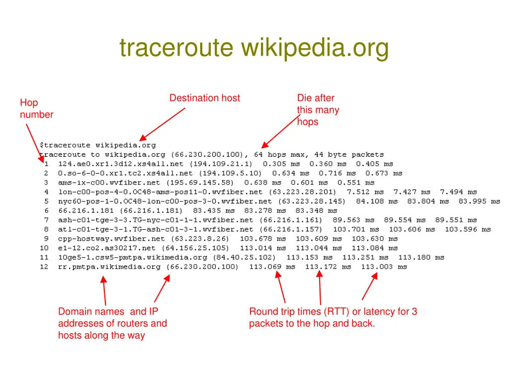 traceroute wikipedia org