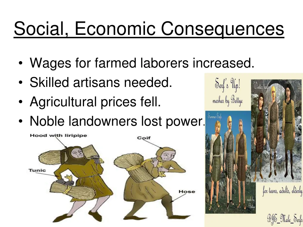 social economic consequences