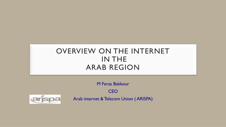 overview on the internet in the arab region