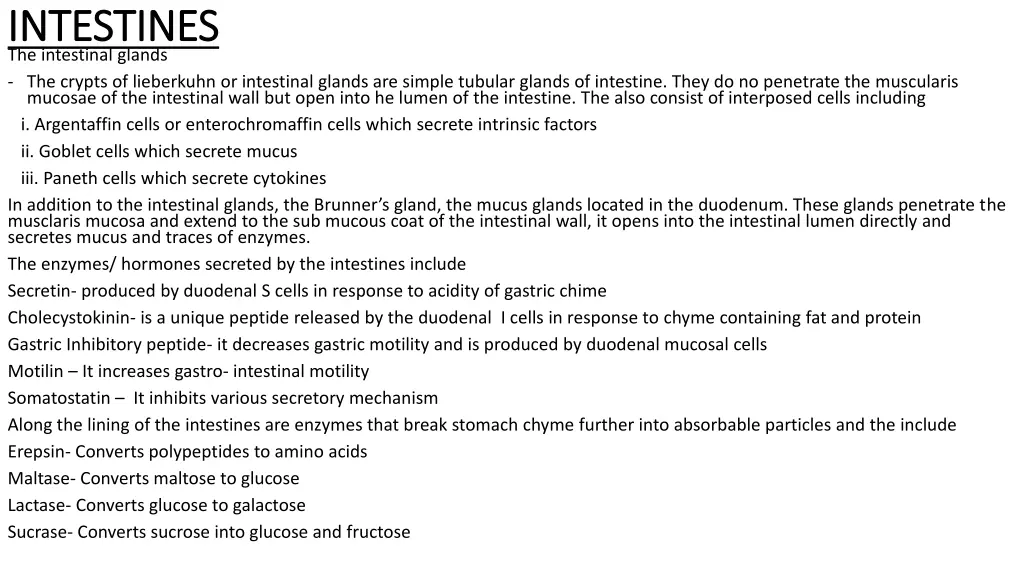 intestines intestines the intestinal glands