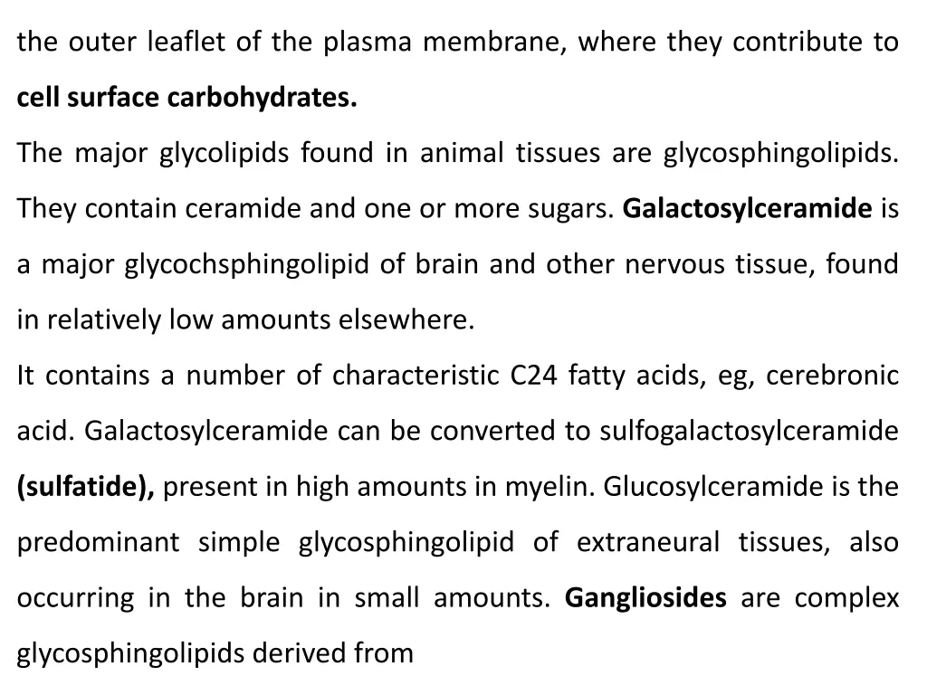 the outer leaflet of the plasma membrane where