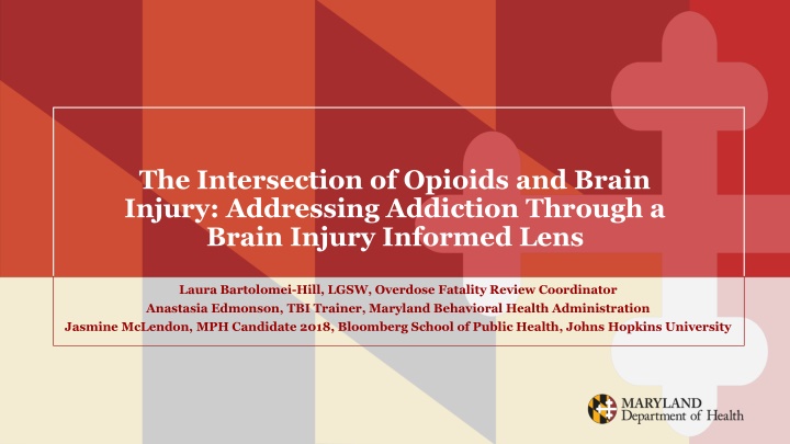 the intersection of opioids and brain injury