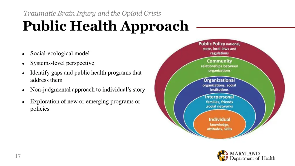 traumatic brain injury and the opioid crisis 13